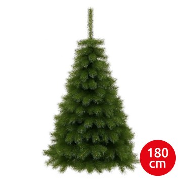 Weihnachtsbaum MORINGA 180 cm Kiefer
