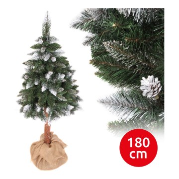 Weihnachtsbaum PIN 180 cm Kiefer