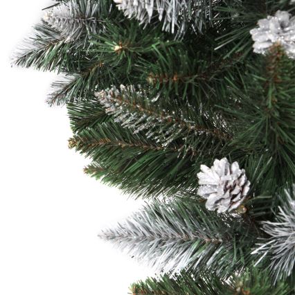 Weihnachtsbaum PIN 180 cm Kiefer
