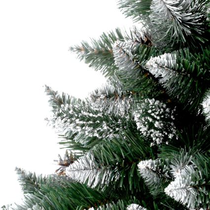 Weihnachtsbaum TAL 180 cm Kiefer