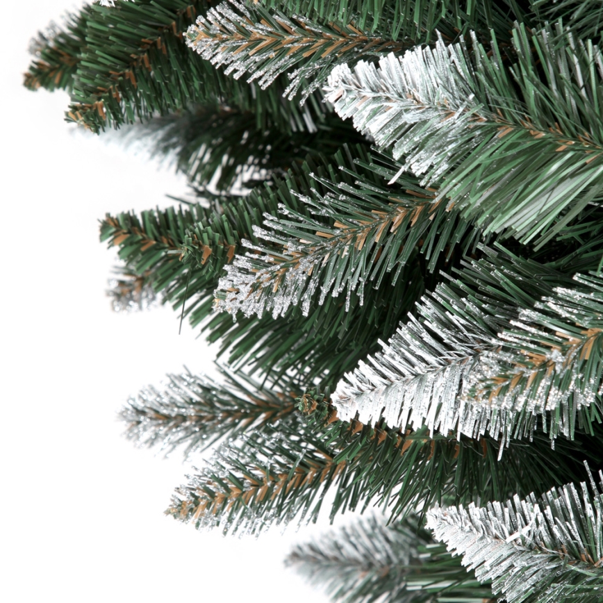 Weihnachtsbaum TEM 180 cm Kiefer