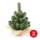 Weihnachtsbaum XMAS TREES 30 cm Kiefer