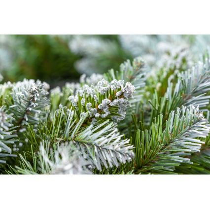 Weihnachtskranz, Ø 54 cm