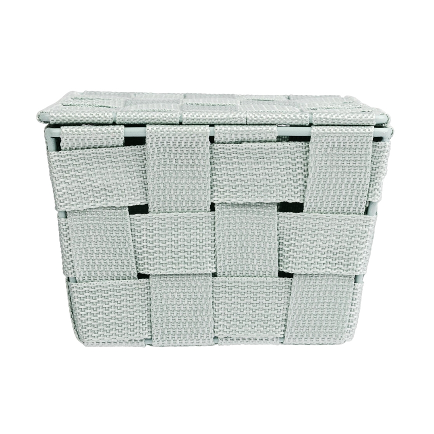 WENKO 22573100 - Korb ADRIA 19 x 14 cm, grün