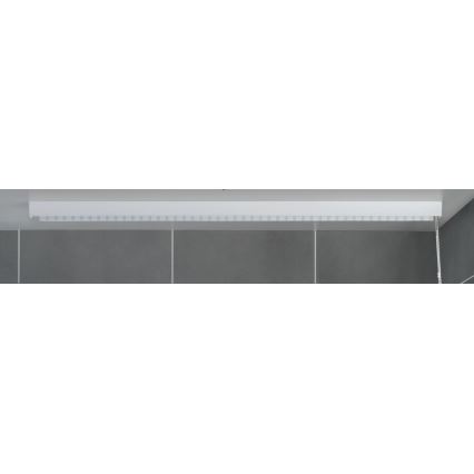 WENKO 23864100 - Duschrollo 132 x 240 cm weiß