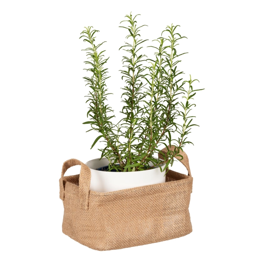 WENKO 64470100 - Panier JUNA 20x15 cm marron
