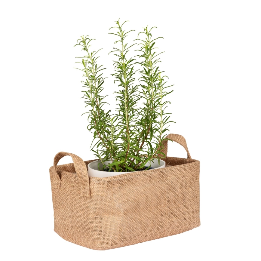 WENKO 64471100 - Panier JUNA 24x17 cm marron