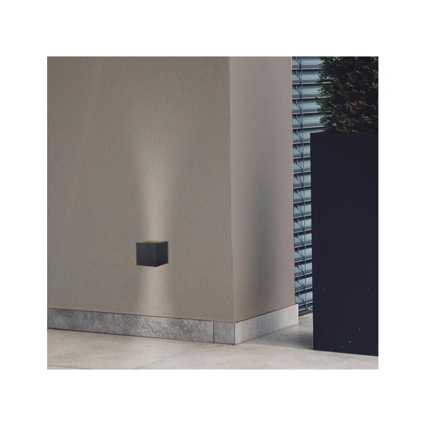 Westinghouse 61149 - Applique murale extérieure FREYA 2xLED/4,5W/230V IP44 noir