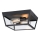 Westinghouse 61219 - Outdoor-Deckenleuchte PETERSON 2xE27/40W/230V IP44