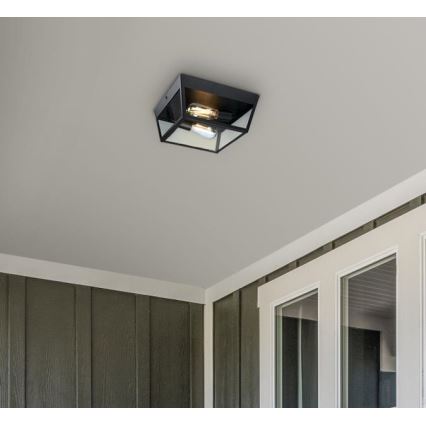 Westinghouse 61219 - Plafonnier extérieur PETERSON 2xE27/40W/230V IP44