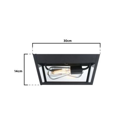 Westinghouse 61219 - Plafonnier extérieur PETERSON 2xE27/40W/230V IP44