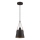 Westinghouse 6125340 - Suspension sur câble PASCO, 1x E27, 60 W, 230 V
