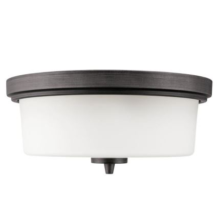 Westinghouse 6325140 - Plafoniera CEDRIC 2xE27/40W/230V Ø 33 cm