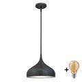 Westinghouse 6329440 - Lampadario LED a stelo RUDI 1xE27/60W/230V Ø 30 cm