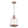 Westinghouse 63616 - Lampadario a sospensione con filo BRYNN 1xE27/60W/230V