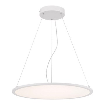 Westinghouse 65775 - Dimmbare LED-Hängeleuchte an Schnur ATLER LED/40W/230V 60 cm