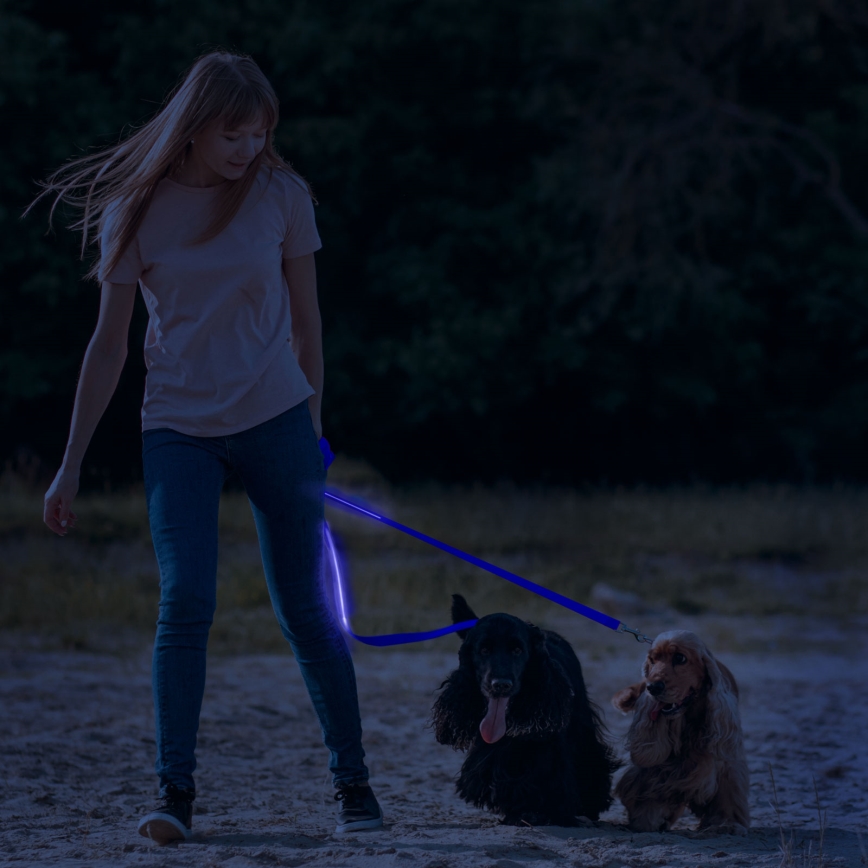 Wiederaufladbare LED-Leine 120 cm 2xCR2032/5V/40 mAh blau