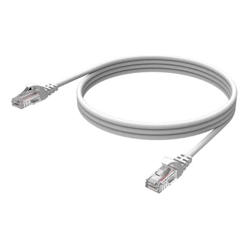 Winner Group - Cavo Ethernet di rete RJ45 / RJ45 CAT-6 2m bianco