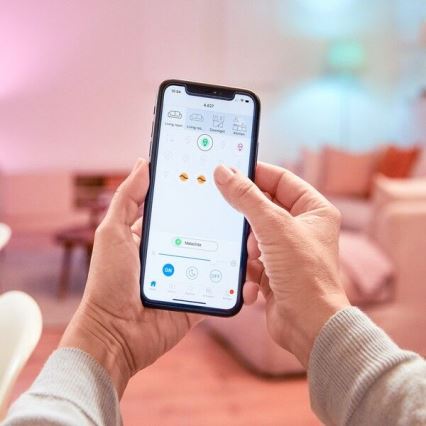 WiZ - Prise connectée E 2300W + compteur d'énergie Wi-Fi