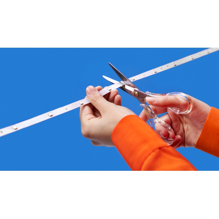 WiZ - Ruban LED RGBW dimmable 4m LED/6,5/230V 2700-6500K Wi-Fi