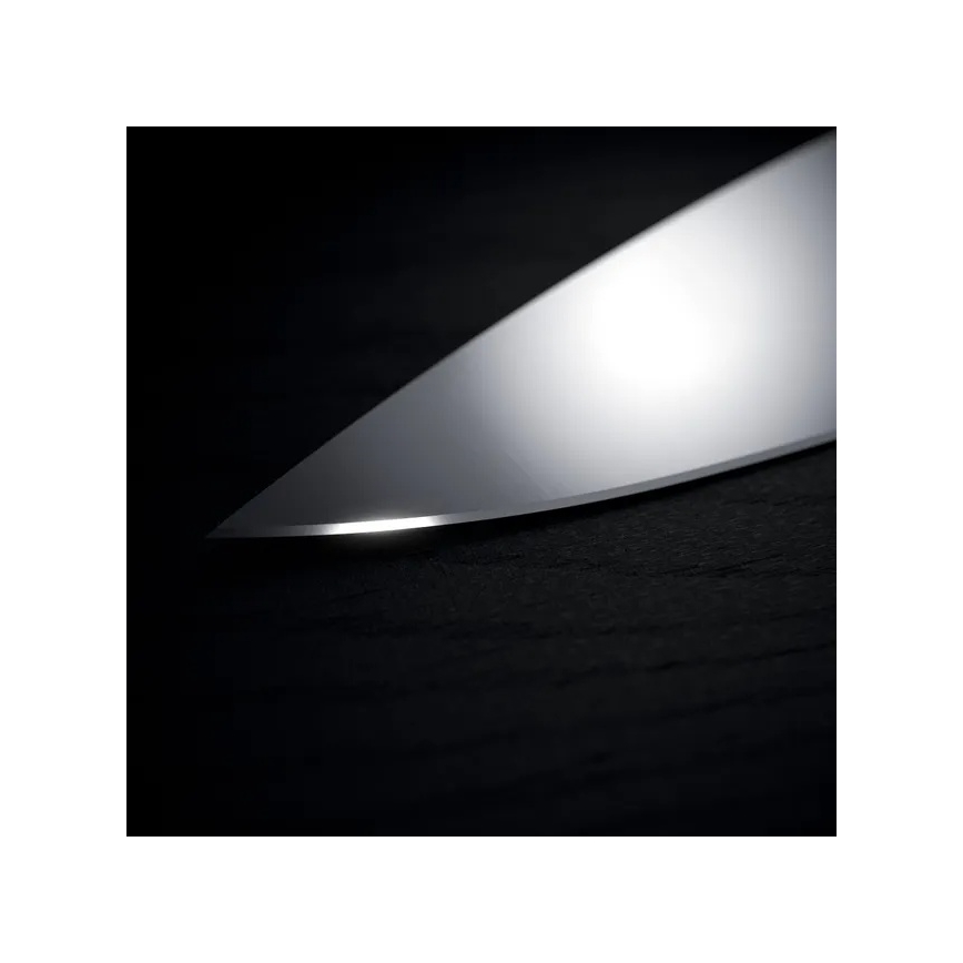 WMF - Set di coltelli da cucina con ceppo portacoltelli GRAND WOOD, 6 pezzi