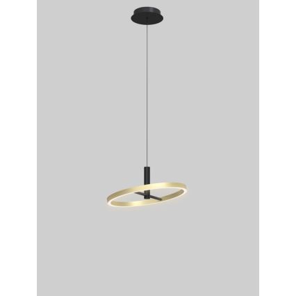 Wofi 6016-104L - LED-dimmbare Pendelleuchte am Seil BREST LED/19W/230V Ø 42 cm schwarz/gold