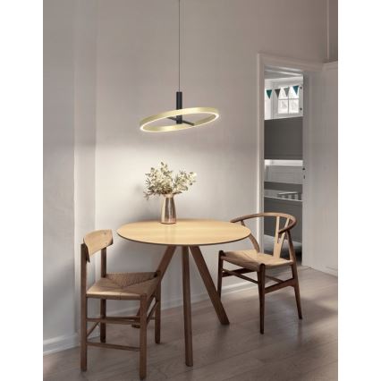 Wofi 6016-104L - Lampadario dimmerabile a sospensione con cavo BREST LED/19W/230V Ø 42 cm nero/oro