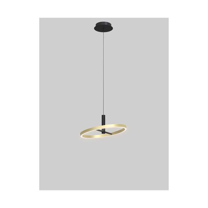 Wofi 6016-104L - Lampadario dimmerabile a sospensione con cavo BREST LED/19W/230V Ø 42 cm nero/oro