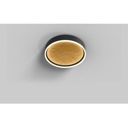 Wofi 9002-104M - Dimmbare LED-Deckenleuchte BORDEAUX LED/37W/230V schwarz/golden
