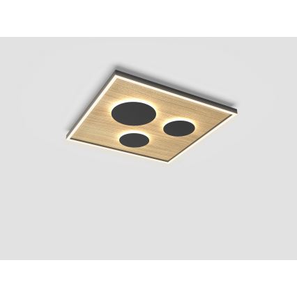 Wofi 9012-306L - Plafonnier à intensité variable DIJON LED/40W/230V