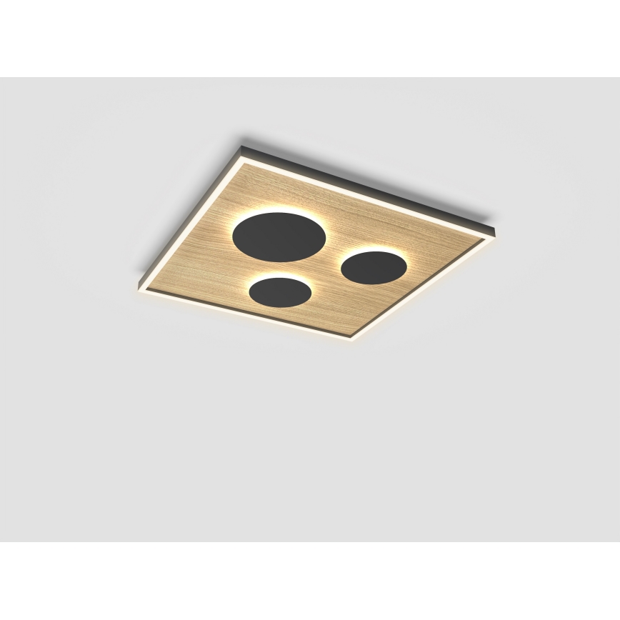Wofi 9012-306L - Plafonnier à intensité variable DIJON LED/40W/230V