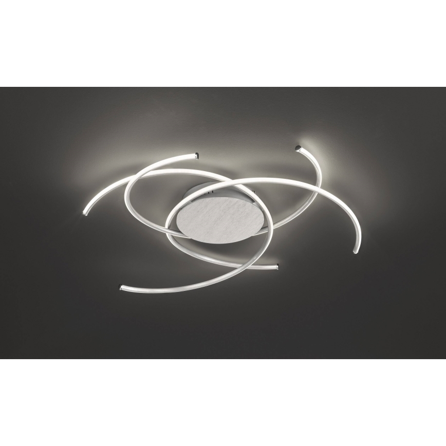 Wofi - Plafonnier LED JULS LED/24W/230V