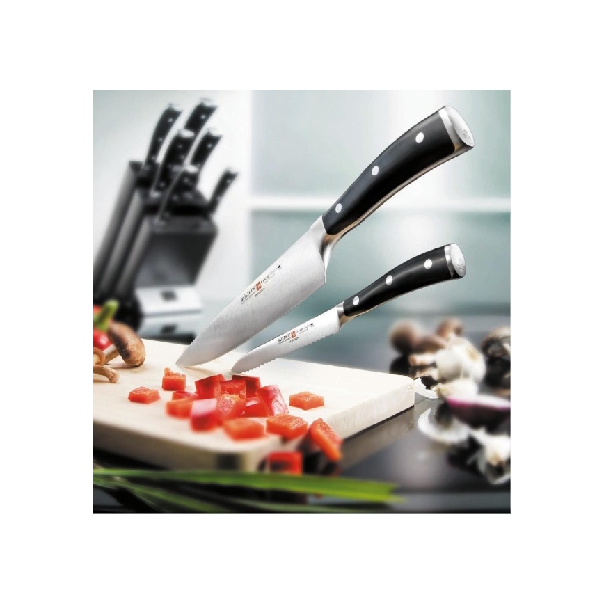 Wüsthof - Jeu de couteaux de cuisine dans un support CLASSIC IKON 7 pce frêne/noir