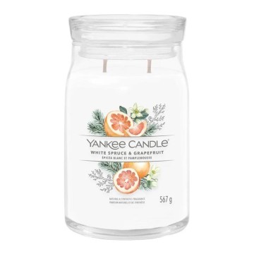 Yankee Candle - Candela profumata WHITE SPRUCE & GRAPEFRUIT, grande, 567 g, 60-90 ore