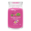 Yankee Candle - große Duftkerze ART IN THE PARK 567g 60-90 Std.