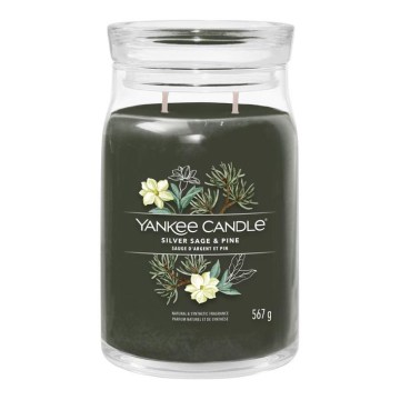 Yankee Candle - Große Duftkerze SILVER SAGE & PINE 567 g 60-90 Std.