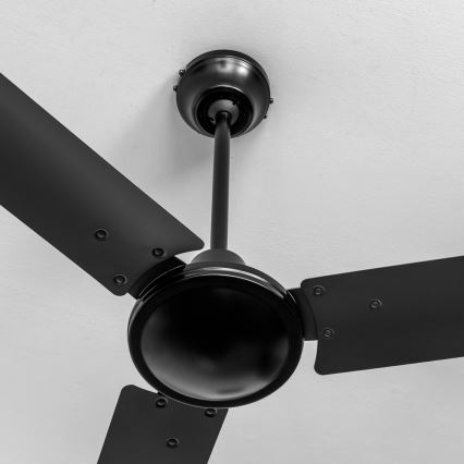 ZEVENTI - Deckenventilator TOFINO schwarz