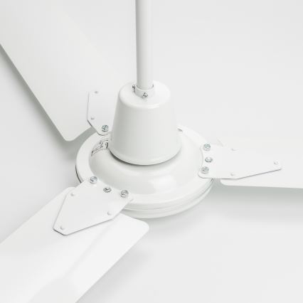 ZEVENTI - Deckenventilator TOFINO weiß