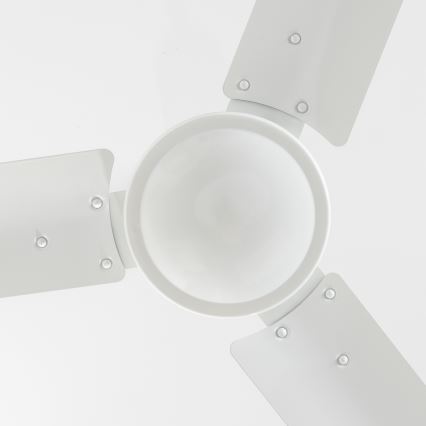 ZEVENTI - Deckenventilator TOFINO weiß