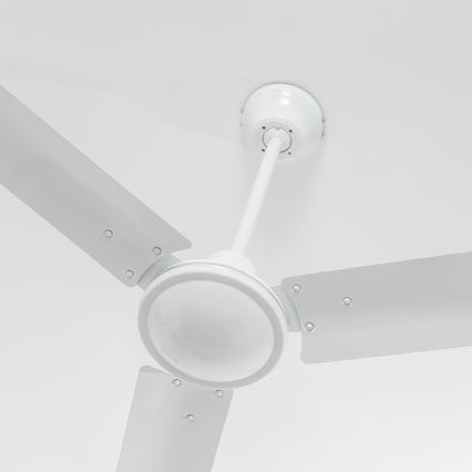 ZEVENTI - Deckenventilator TOFINO weiß
