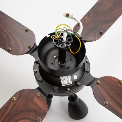 ZEVENTI - Deckenventilator ZURRIOLA 3xGU10/50W/230V