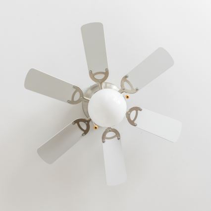 ZEVENTI - Ventilateur de plafond GALDANA 1xE27/60W/230V gris/blanc