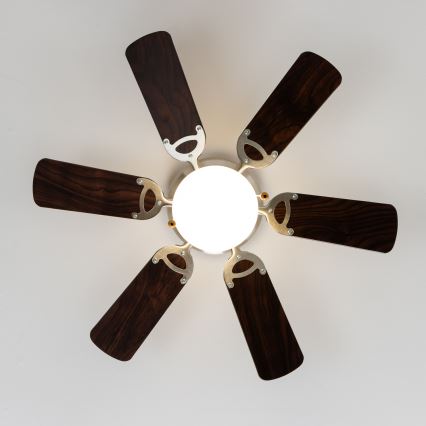 ZEVENTI - Ventilateur de plafond GALDANA 1xE27/60W/230V marron/beige
