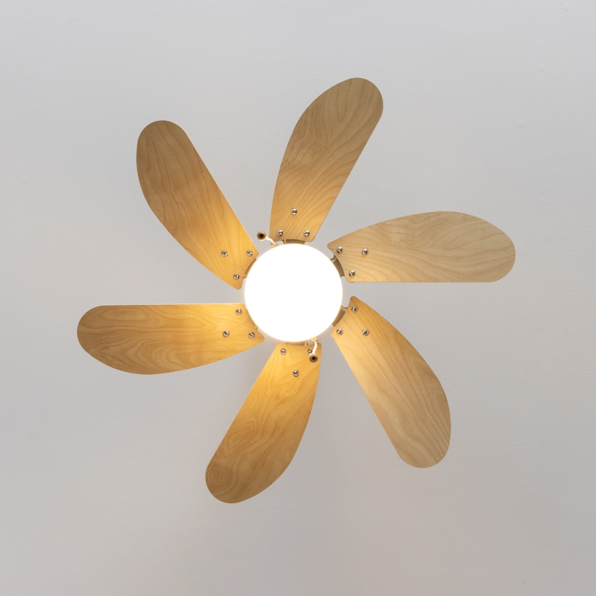 ZEVENTI - Ventilatore da soffitto FAMARA 1xE14/60W/230V beige