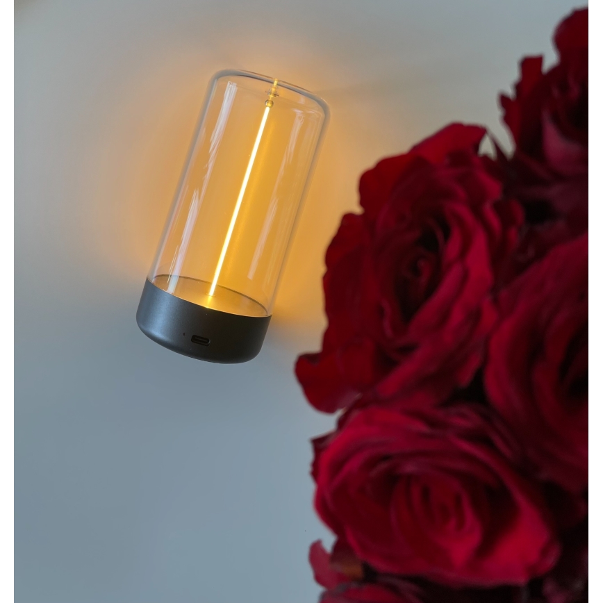 Zuma Line 1001 - Lampada LED dimmerabile ricaricabile ESTERNO LED/0,5W/230V nero IP54