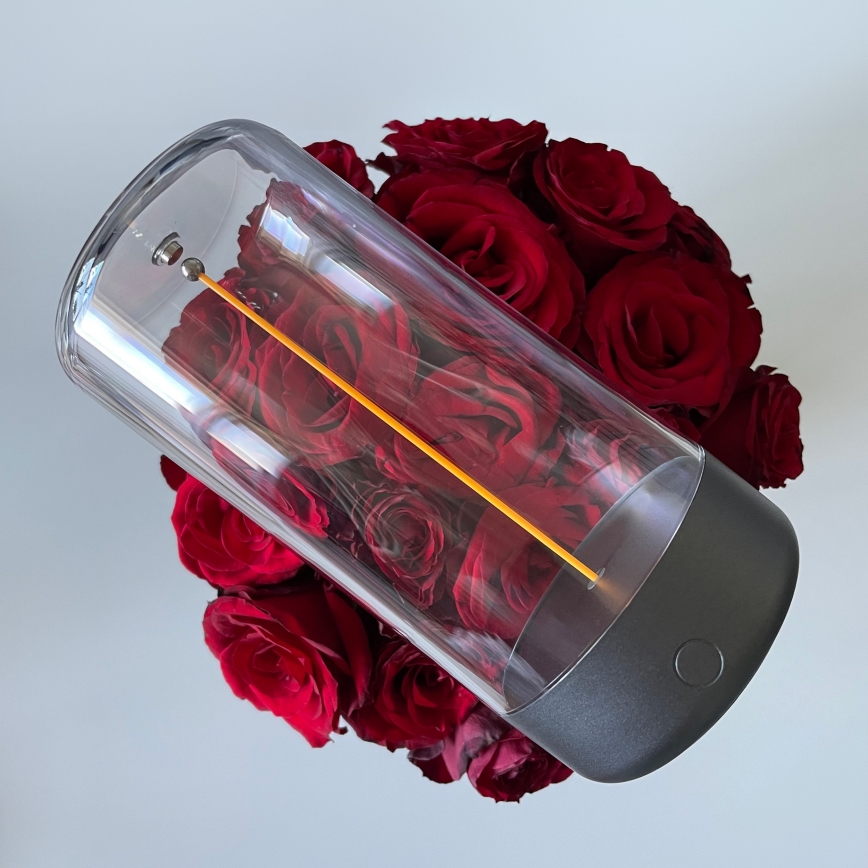 Zuma Line 1001 - Lampada LED dimmerabile ricaricabile ESTERNO LED/0,5W/230V nero IP54