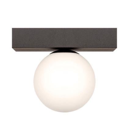 Zuma Line - Plafoniera 1xG9/8W/230V nero
