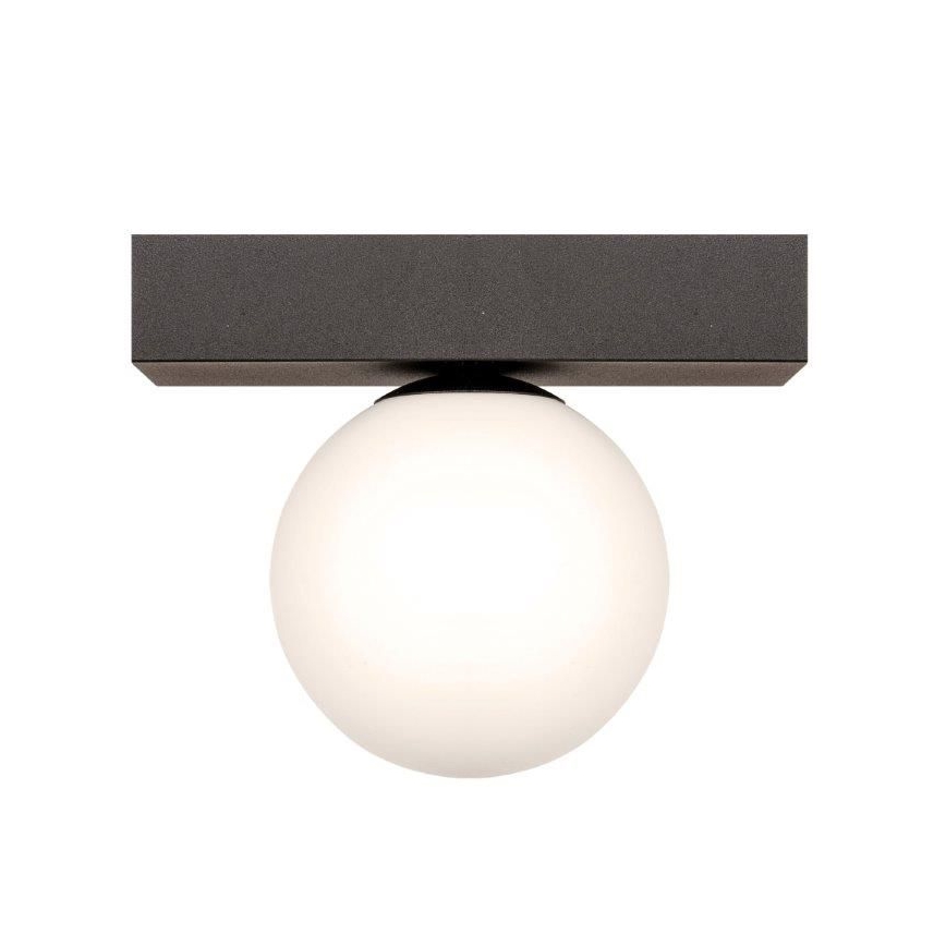 Zuma Line - Plafoniera 1xG9/8W/230V nero