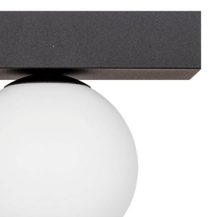 Zuma Line - Plafoniera 1xG9/8W/230V nero
