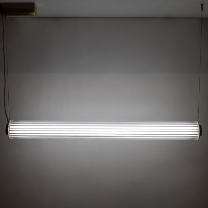 Zuma Line - Suspension LED dimmable sur câble LED/39W/230V 2700-6500K dorée + télécommande